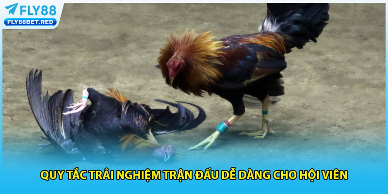 Quy tắc trải nghiệm trận đấu dễ dàng cho hội viên